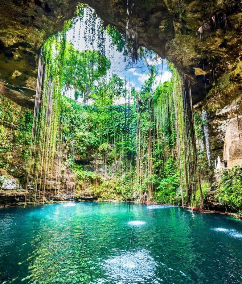 A cenote in the Yucatán Peninsula, and sea turtles off the coast of the Mayan Riviera