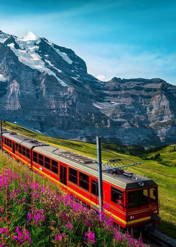 Electric passenger train and snowy Jungfrau mountains in background, Switzerland adrenaline, alpine, Alps, attraction, cable, carriage, cogwheel, destination, Eiger, electric, Europe, flowers, express, extreme, glacier, hills, hiking, holiday, Interlaken, journey, Jungfrau, Jungfraujoch, landscape, leisure, location, locomotive, mountain, nature, passenger, popular, public, railroad, railway, red, scenery, snowy, stone, summer, summit, Swiss, Switzerland, tourism, traffic, trail, train, transportation, travel, vacation, vehicle, voyage Fantastic cogwheel railway with electric red tourist train. Snowy Jungfrau mountains with glaciers, flowery fields and red passenger train, Kleine Scheidegg, Grindelwald, Bernese Oberland, Switzerland, Europe