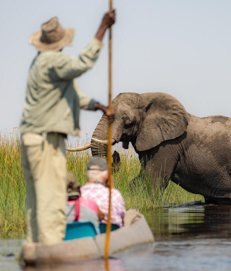 July and August are great months to explore the flooded Okavango Delta by boat, or on a game drive