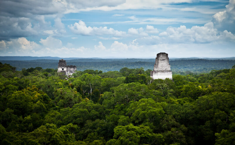 The tops of two stone Mayan pyramids emerge from a vast, lush green forest stretching to the horizon.