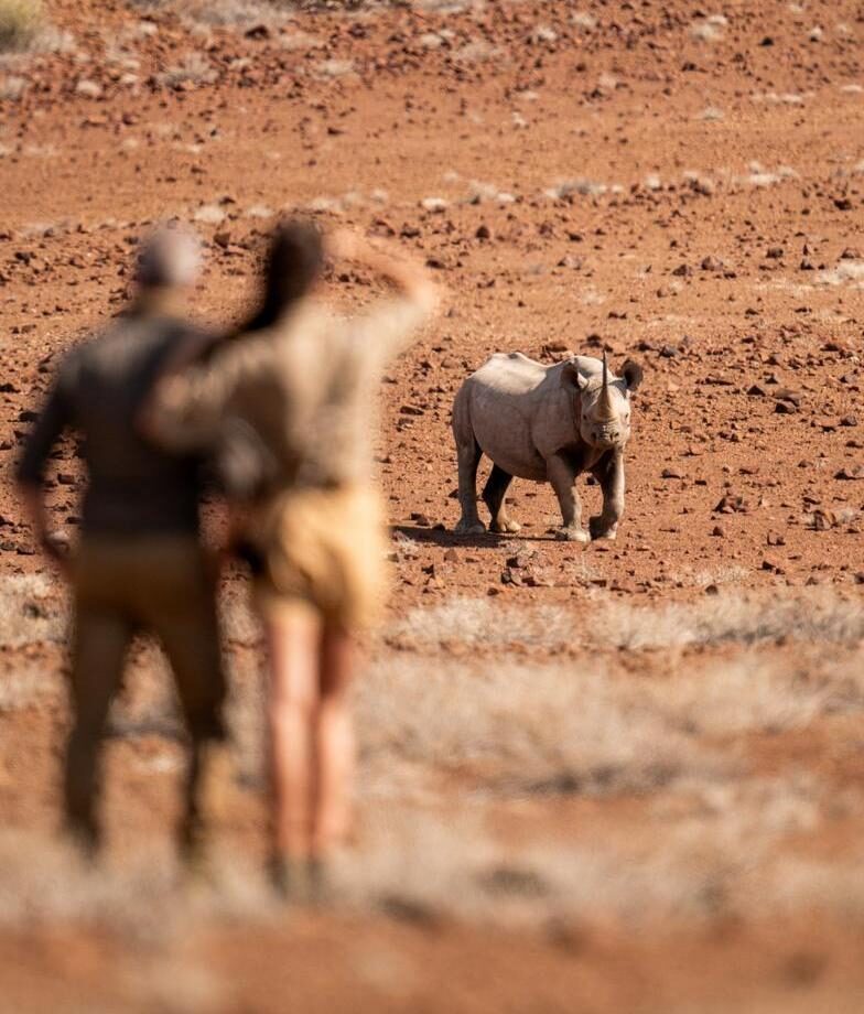 Tourists observing a rhinoceros in the wild on Namibia and Botswana Luxury Tours.