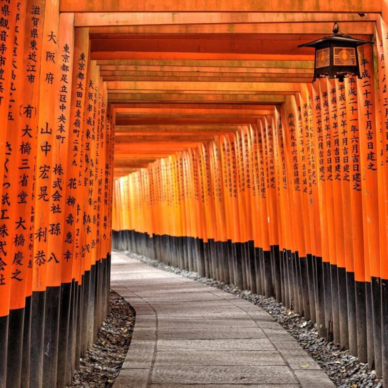 thousands of vermilion gates Yasakajinja kyoto