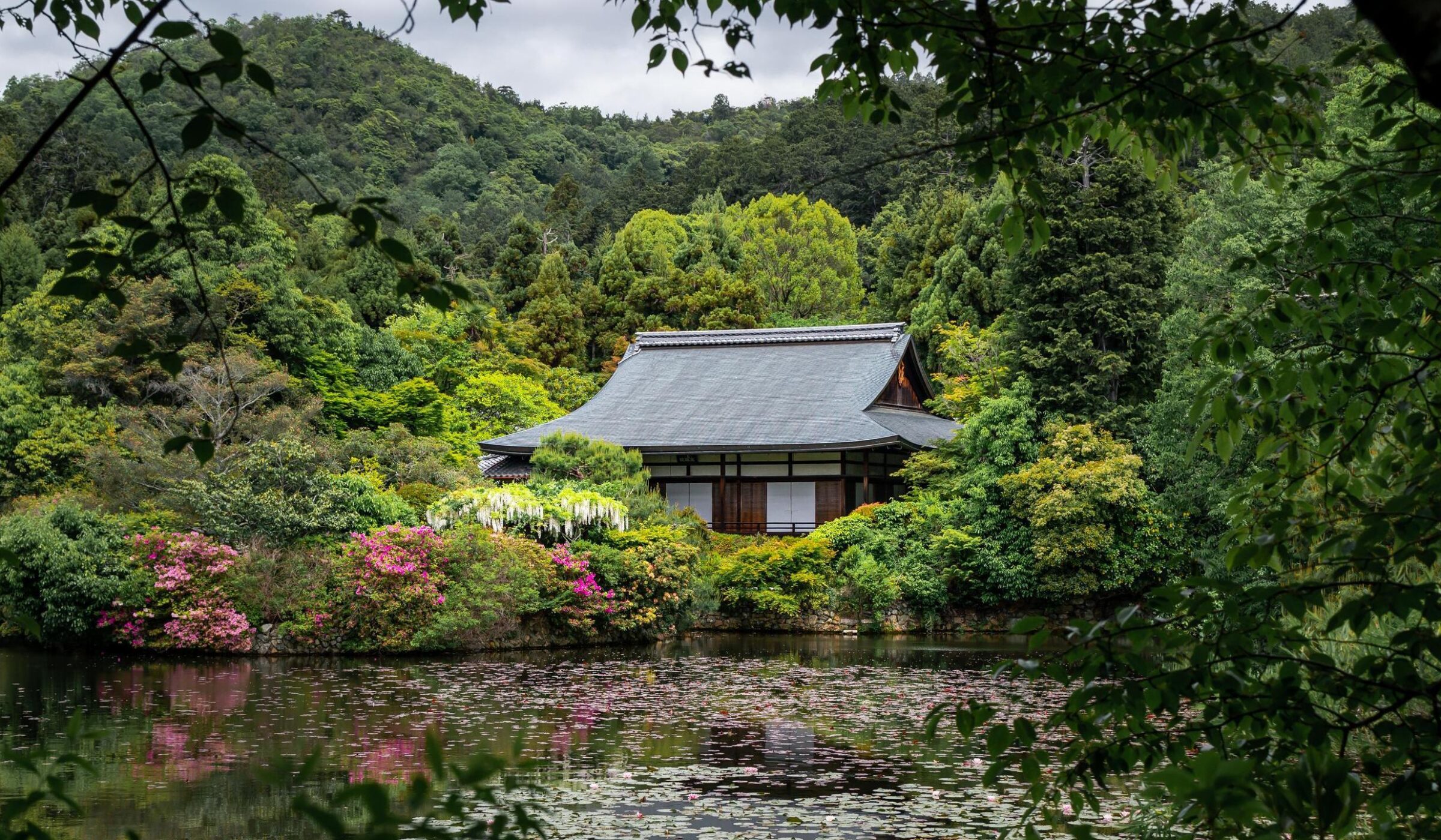 The Temple of the Dragon. Ryoan-ji. Lake and trees