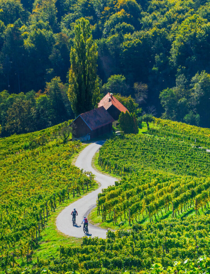 Cyclists on the famous Wine Road in the shape of a heart, a charming region on the border between Austria and Slovenia with green rolling hills, vineyards, picturesque villages and wine taverns