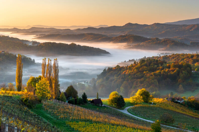 Vineyard valley skyline in Styria, at sunrise, fall 2019. Hills covered by mist, and beautiful light over a green valley in Styria, Austria, Europe.