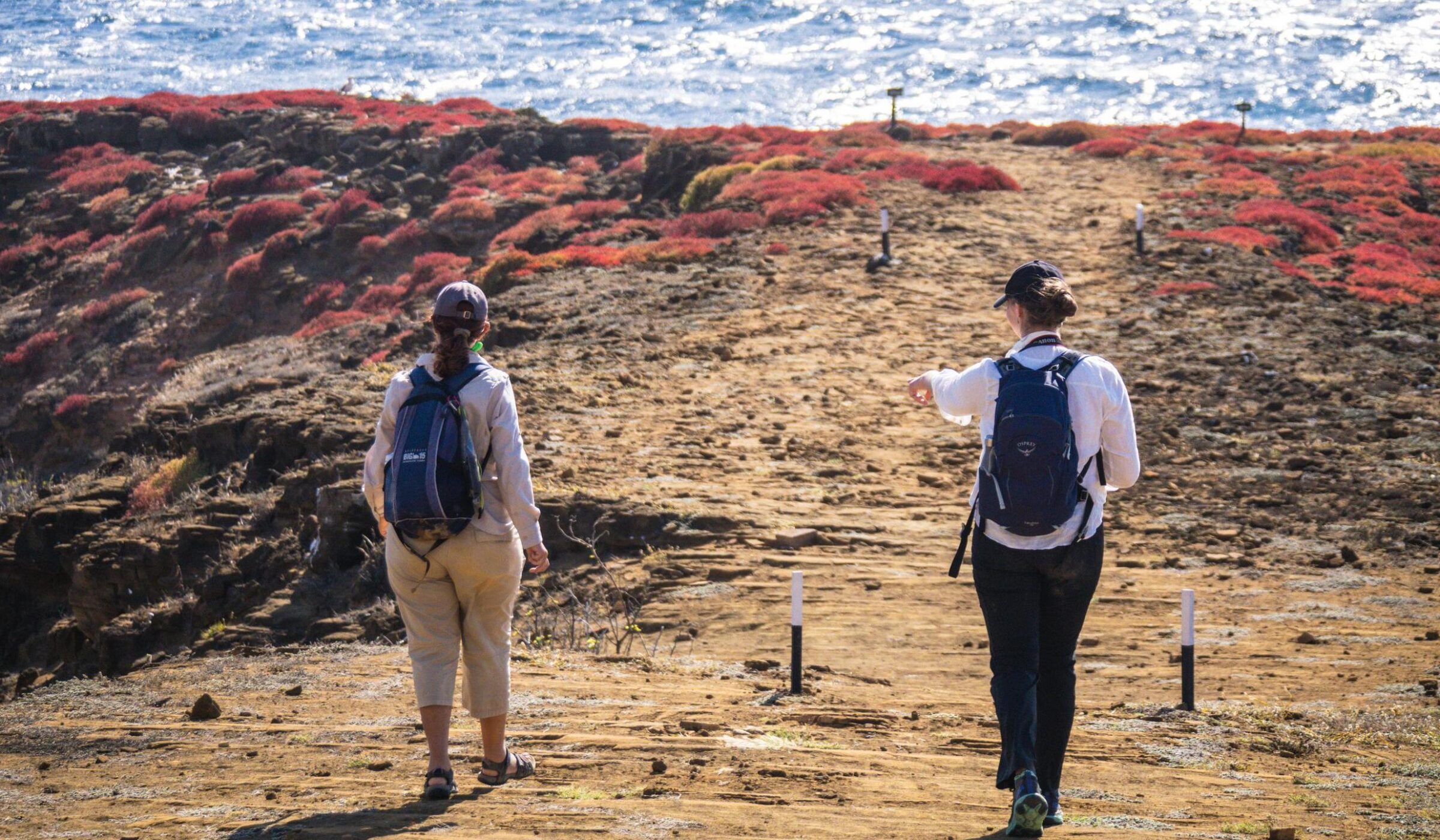 Active adventures in Galápagos