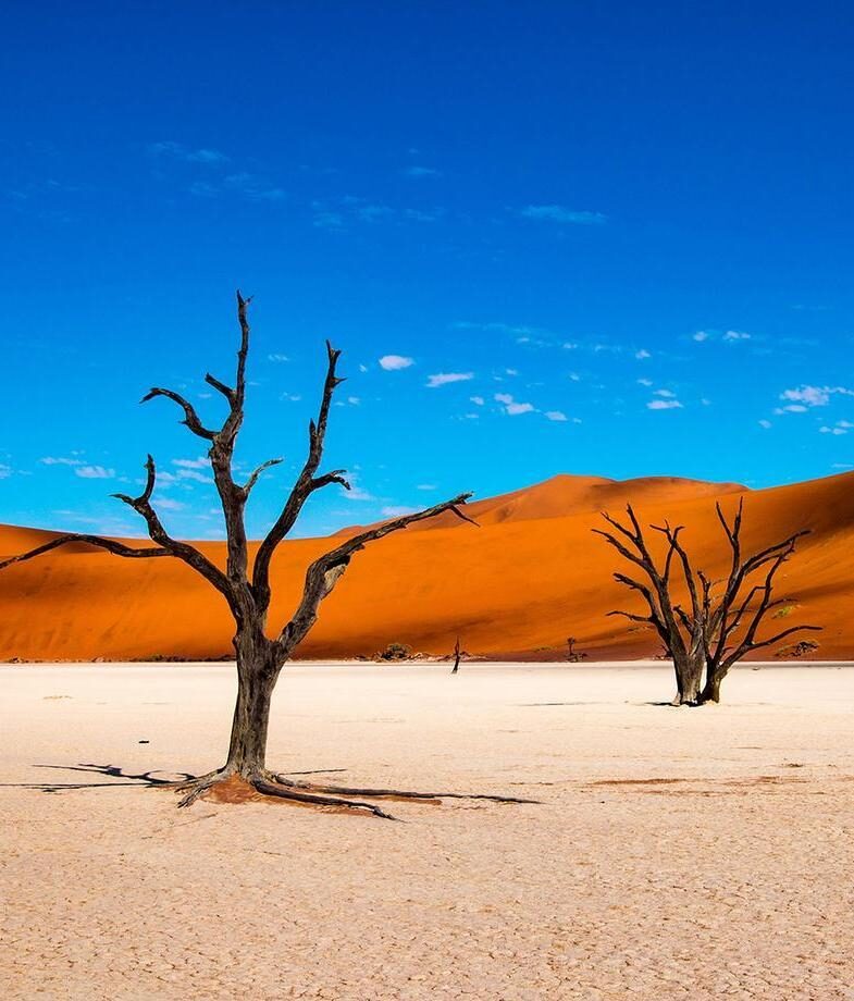 The striking red dunes and sun-bleached trees of Namibia’s Namib Desert and a cosy snow-covered lodge glowing warmly in the winter forests of Finland.