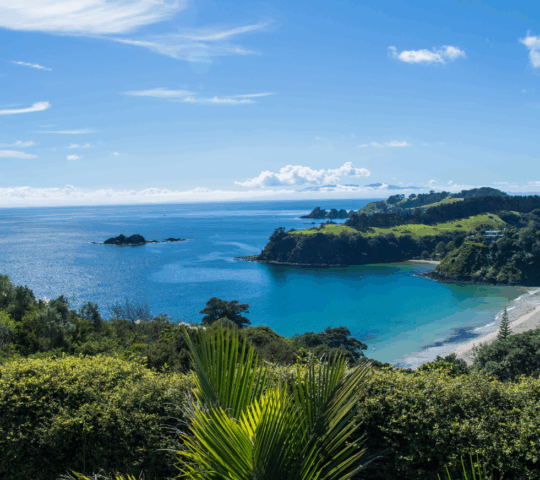 Take a moment to breathe in the fresh air of Waiheke Island