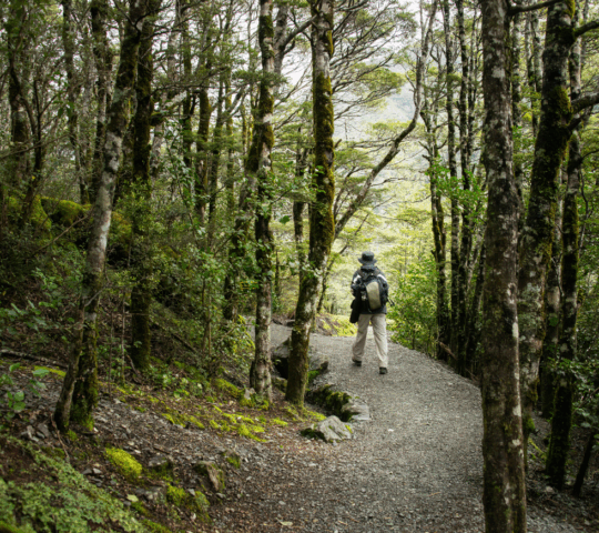 Reset with a hike in Arthur's Pass National Park
