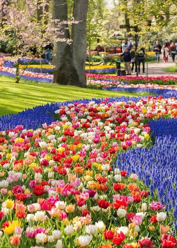 Keukenhof park in Netherlands