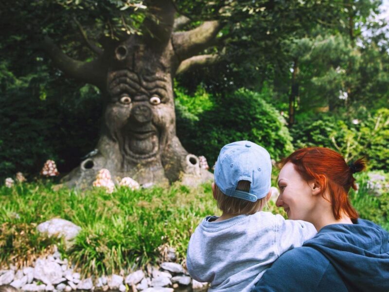 Family is having fun at amusement park Efteling, Netherlands. Castle, Child, Childhood, Europe, Family, Festival, Forest, Fun, Happiness, Outdoors, Park, People, Tourism, Tourist, Tree, Woman, Wood, adventure, amusement, ancient, attraction, carnival, character, dragon, dutch, efteling, enjoying, entertainment, fables, fair, fairy tale, fear, fly agaric, folklore, funfair, holland, kaatsheuvel, kids, legends, mushroom, myths, netherlands, play, recreation, oak, scenery, theme, vacation, visitors, wonders Family is having fun at amusement park. Fantasy themed amusement park Efteling in Kaatsheuvel, Holland, Netherlands, Europe. Attractions are based on elements from ancient myths, legends, fairy tales. Efteling the Netherlands family trip