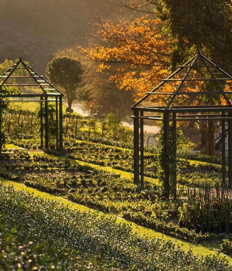The cultivated gardens of Leeu Estates in South Africa, where the local Pinotage grape becomes a wellness ritual as well as a dining ingredient, and the expansive pool of Ananda in the Himalayas in India.