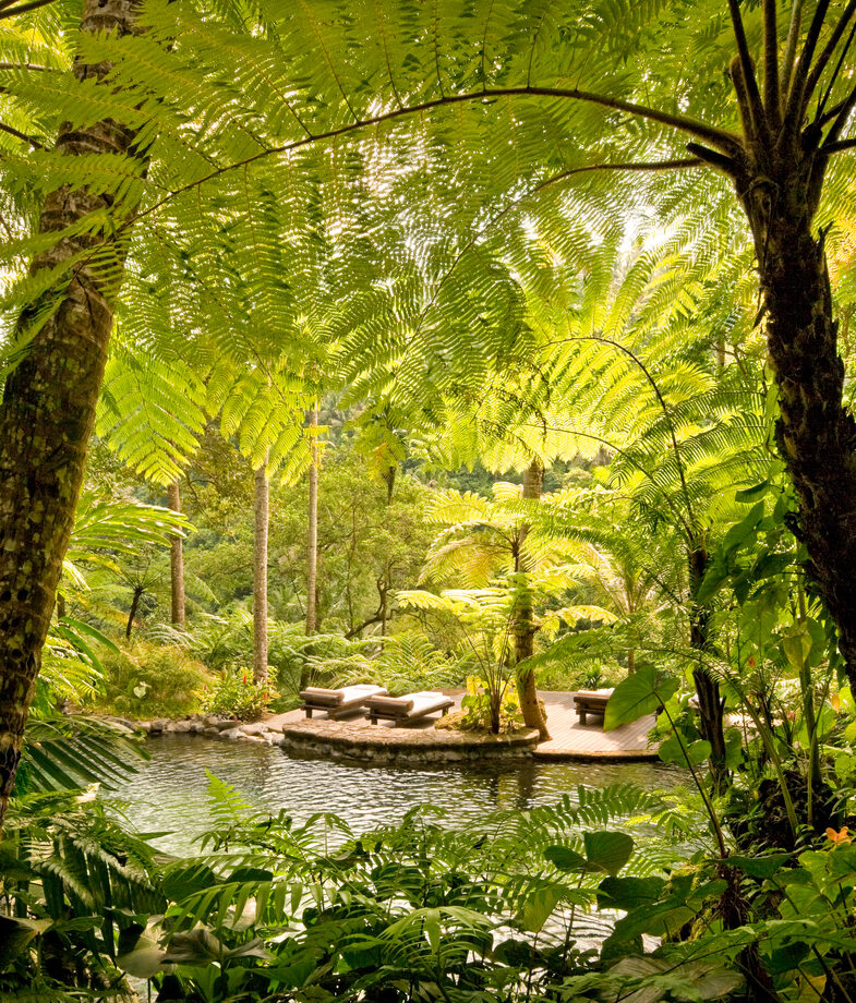 The serene Kedara Water Garden at COMO Shambhala Estate in Bali, and the rooms at The Retreat Hotel in Iceland offering direct access to soothing geothermal waters.