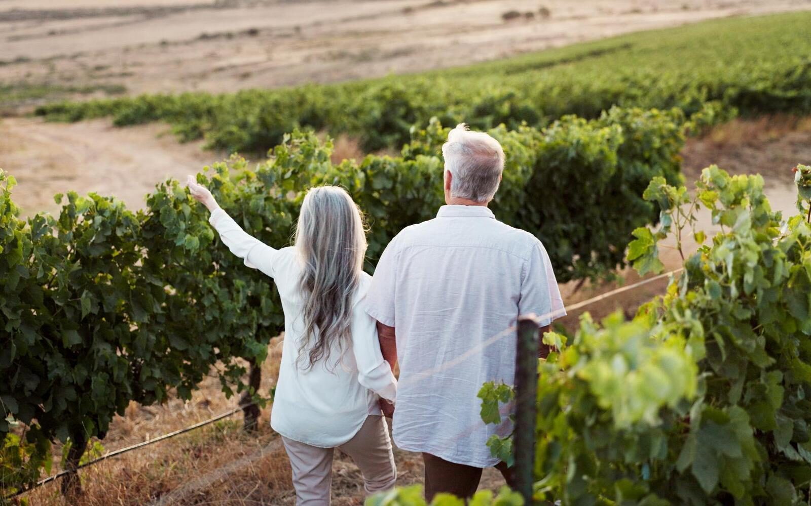 Celebrate your love hand-in-hand while strolling through vineyards during a romantic trip in France.