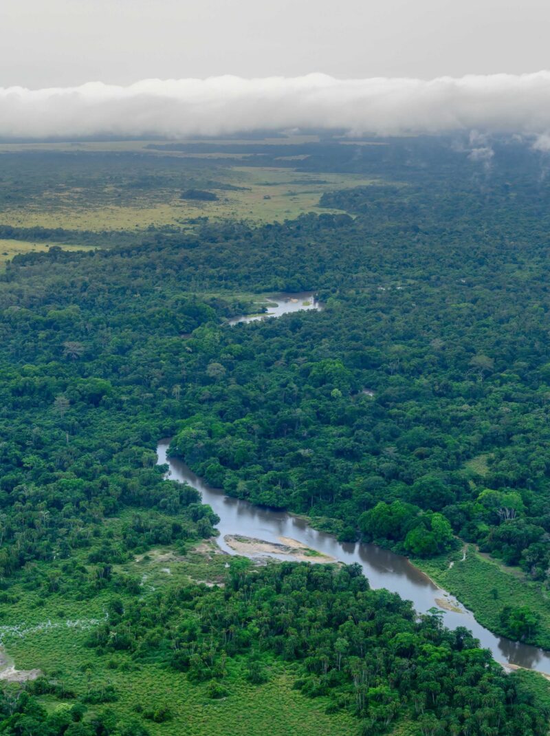 Aerial view. Odzala-Kokoua National Park. Cuvette-Ouest Region. Republic of the Congo