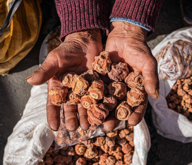 hands of an old man holding mocochinchi or quisa at a street fair in la paz, bolivia – food concept
