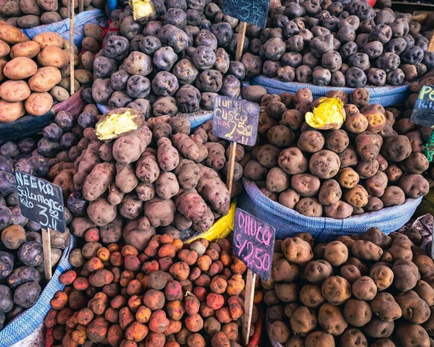 A culinary tour of Lima
