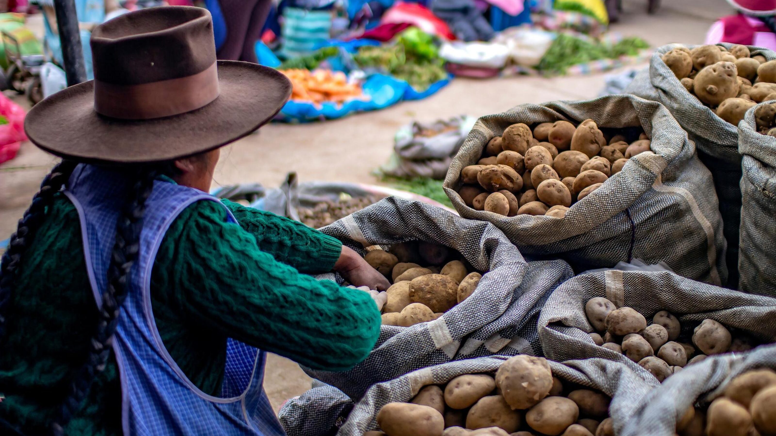 Culture and Connection in Peru