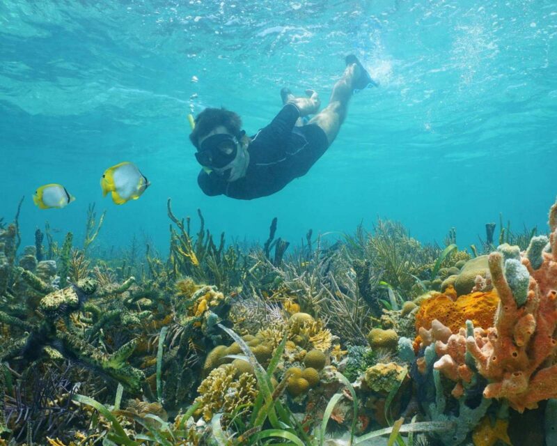 Snorkelling in Panama in a family trip