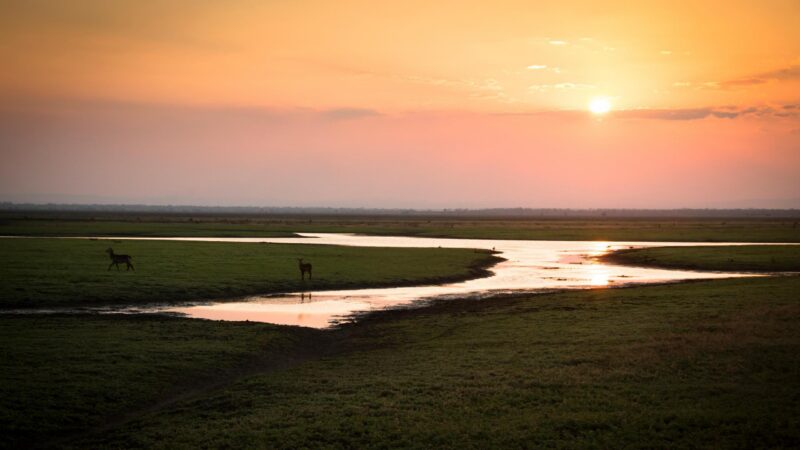 Gorongosa National park monzambique