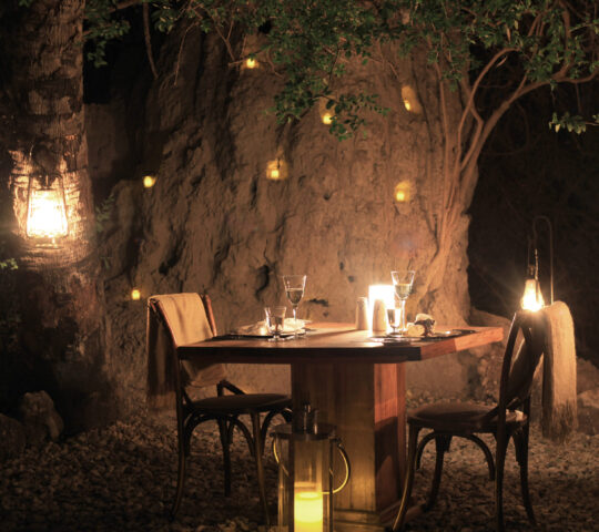 Enjoy a private dinner beneath an ancient baobab