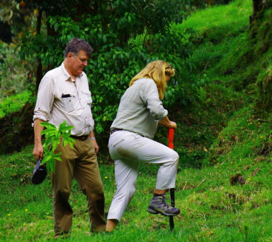 At Bosque Vivo, planting native saplings is part of local reforestation efforts