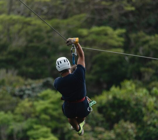 Gliding through the canopy before your farm-to-tree tasting high in the trees