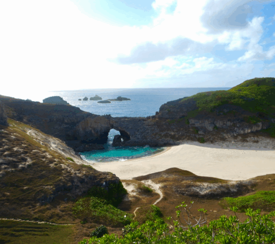 Breathe in the tang of sea air at Ogasawara near Tokyo
