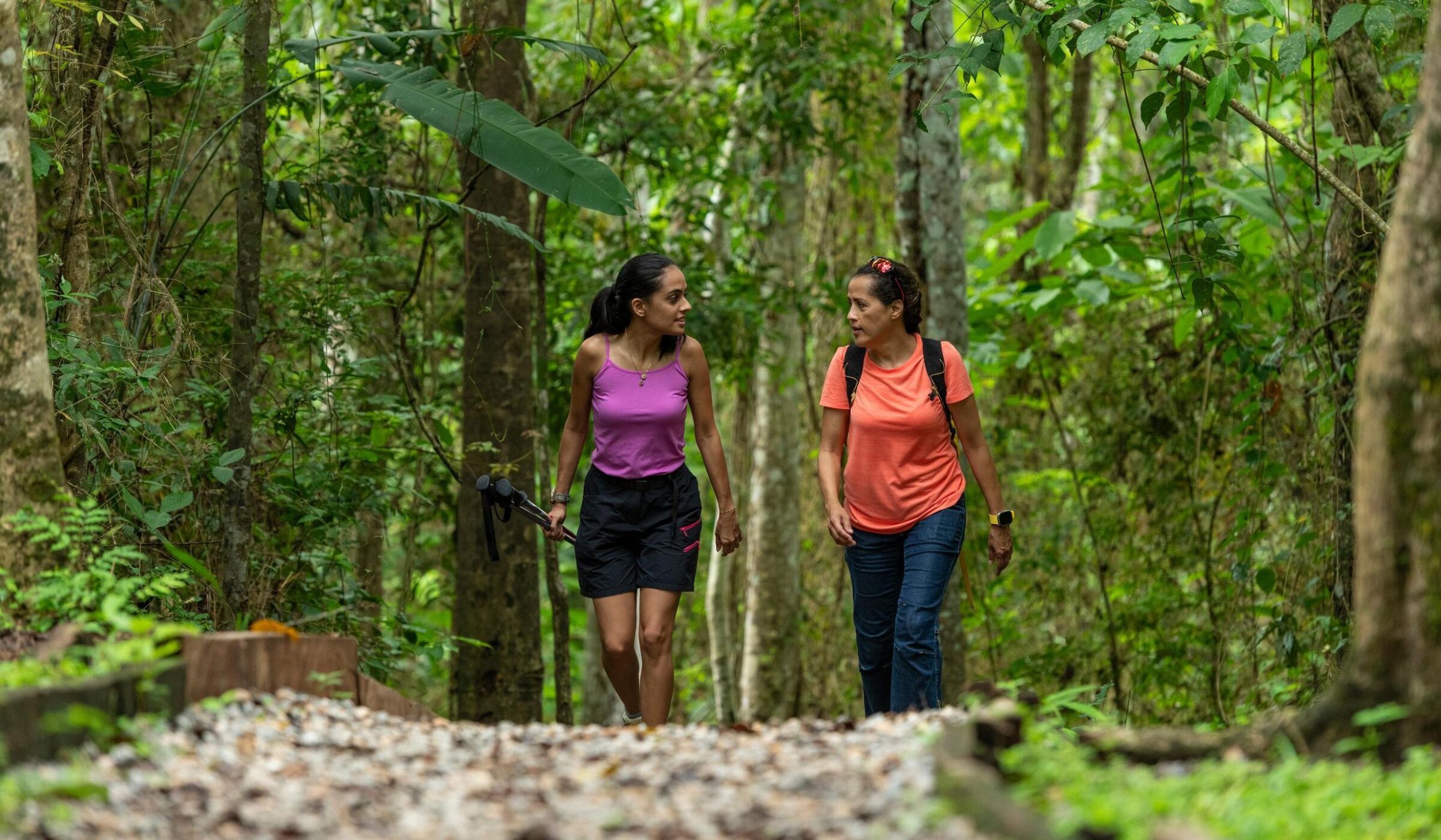 Two woman trekking in tropical rainforest, Metropolitan Natural Park, Panama City, Panama