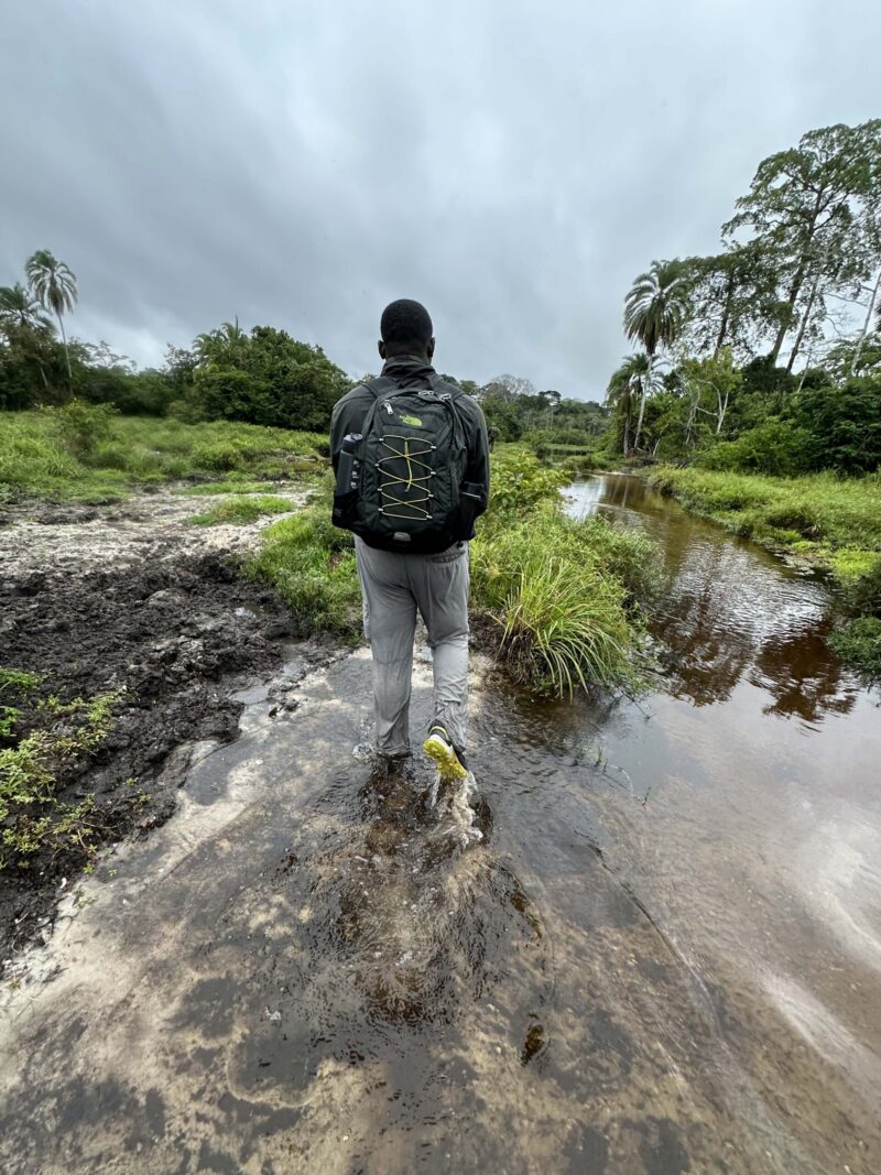 A man with a backpack walks through a shallow stream in a grassy area with palm trees in the background.