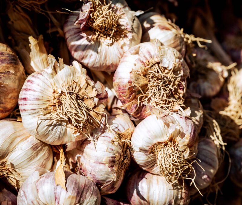 A bunch of garlic at a market stall.