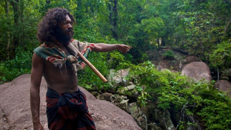 A Veddha elder in Sri Lanka pointing to plants in a forest.