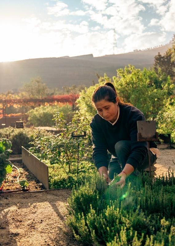 A woman gardening at Six Senses Douro Valley in Portugal.