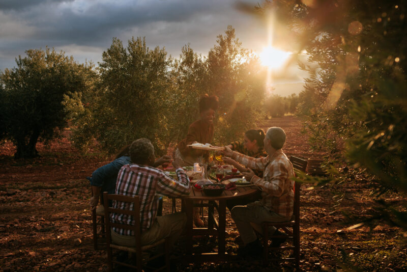 Family having dinner together in an olive grove at sunset celebrating the harvest