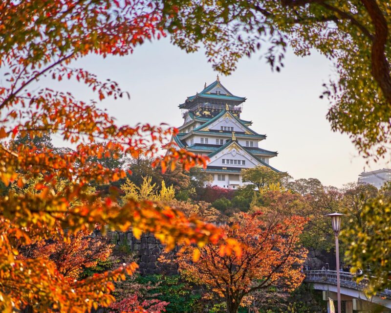 Osaka castle in Japan seen through a frame of autumn leaves