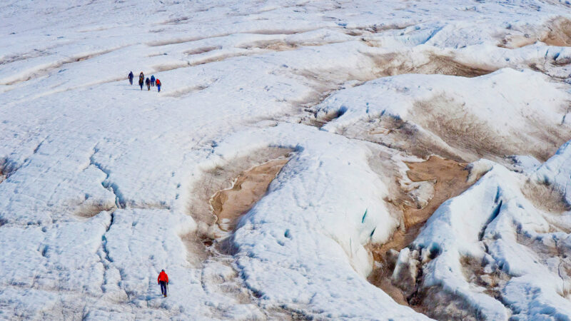 group trekking Nordenskiöld Glacier, Petuniabukta, Arctic, Norway