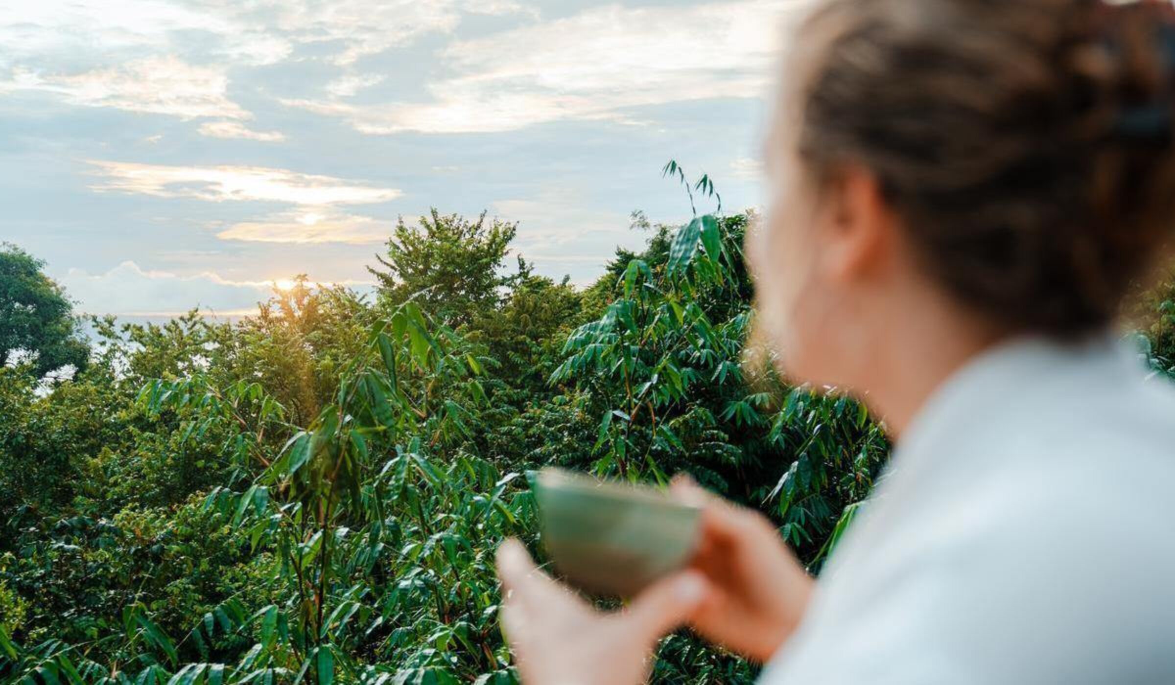 Woman on a luxury holiday drinks from a tea cup overlooking natural landscape as the sun rises over trees.