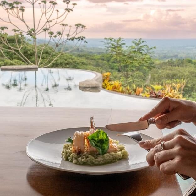 Two hands seen with a beautiful presented plate of food sat in front of a pool and Costa Rican nature behind