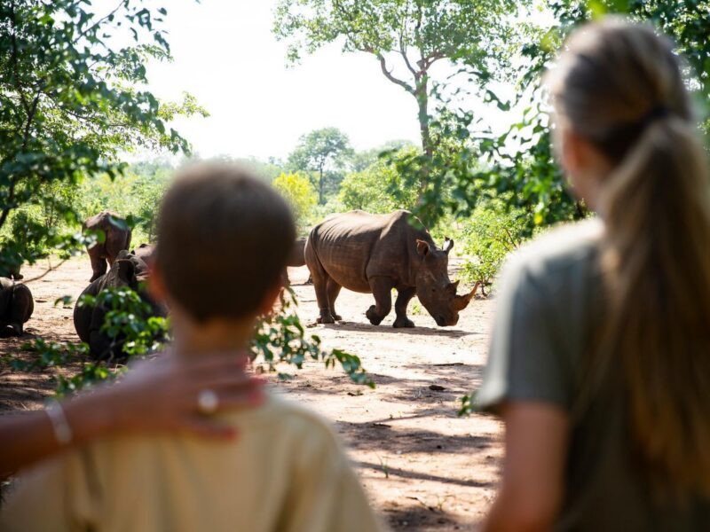 Zambia family trip walking safari spotting rhinos