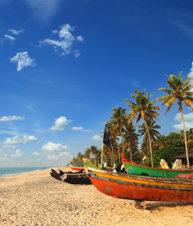 Colourful old fishing boats on a palm tree lined beach in Goa, India