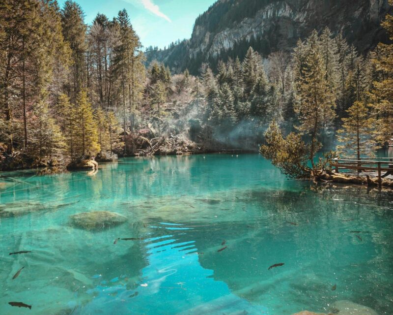 Clear turquoise mountain lake with visible fish swimming near the surface, surrounded by pine trees and steep cliffs.
