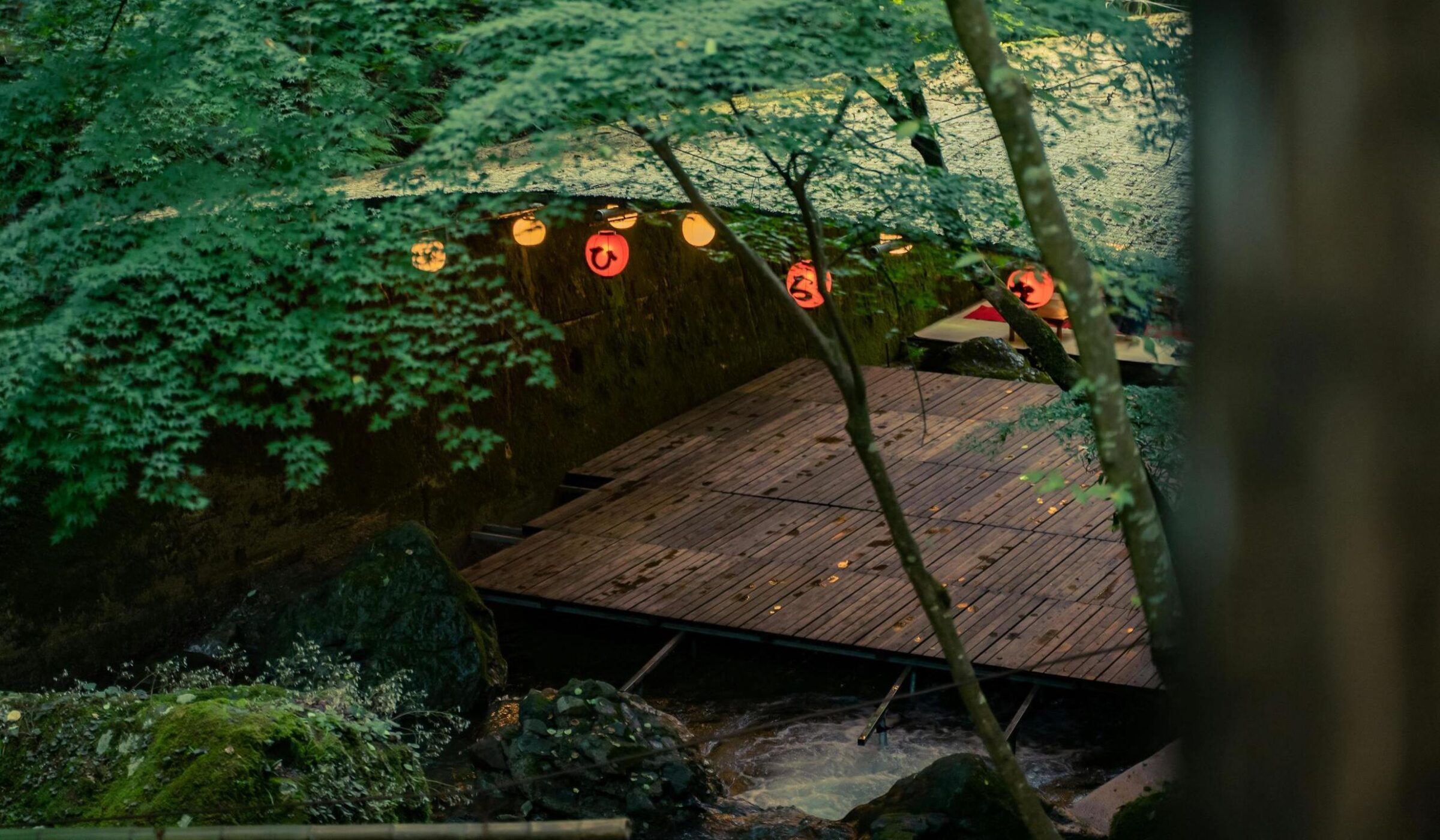Bamboo forest Japan wellness