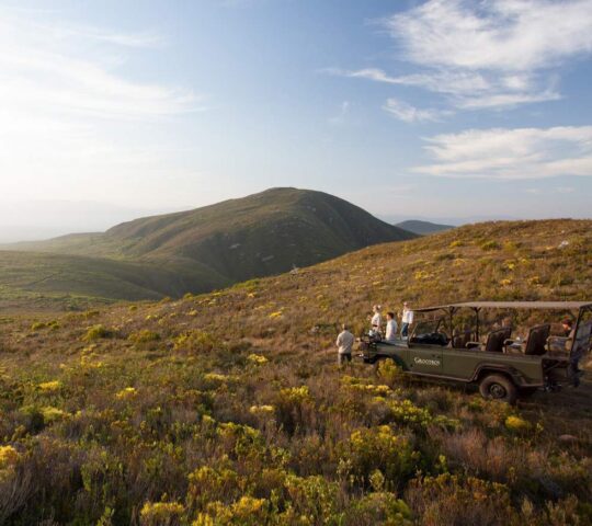 Uncover the natural wonders of Grootbos Private Reserve