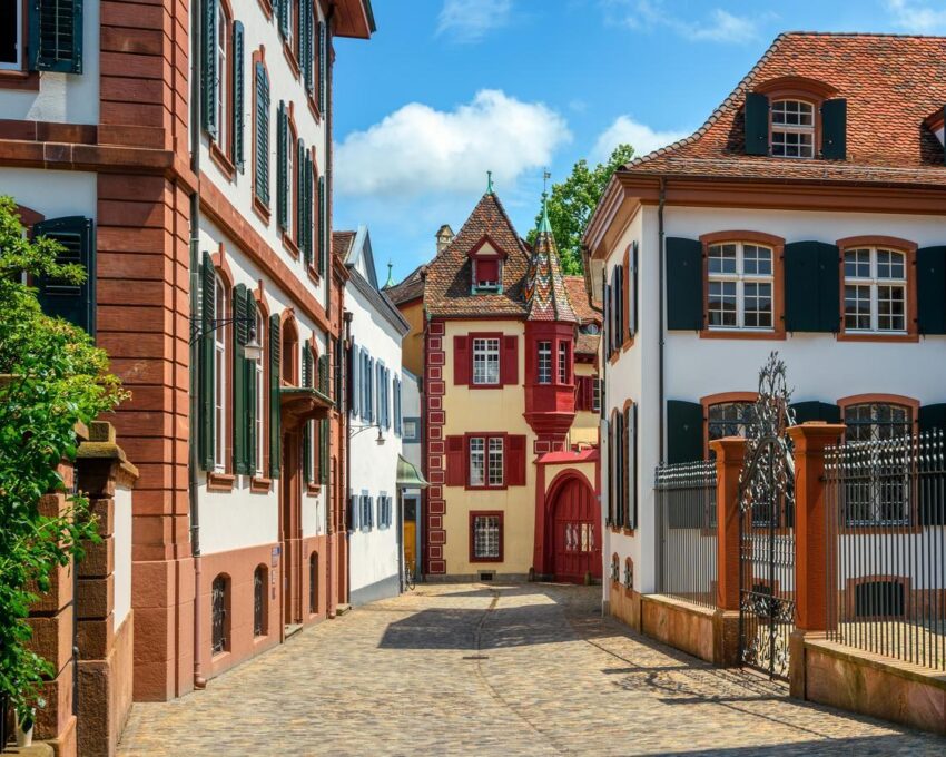 Tour Basel with an art specialist