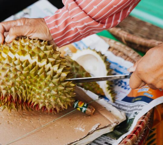 Watch vendors crack open durian and sample the 'king of fruits' at peak ripeness