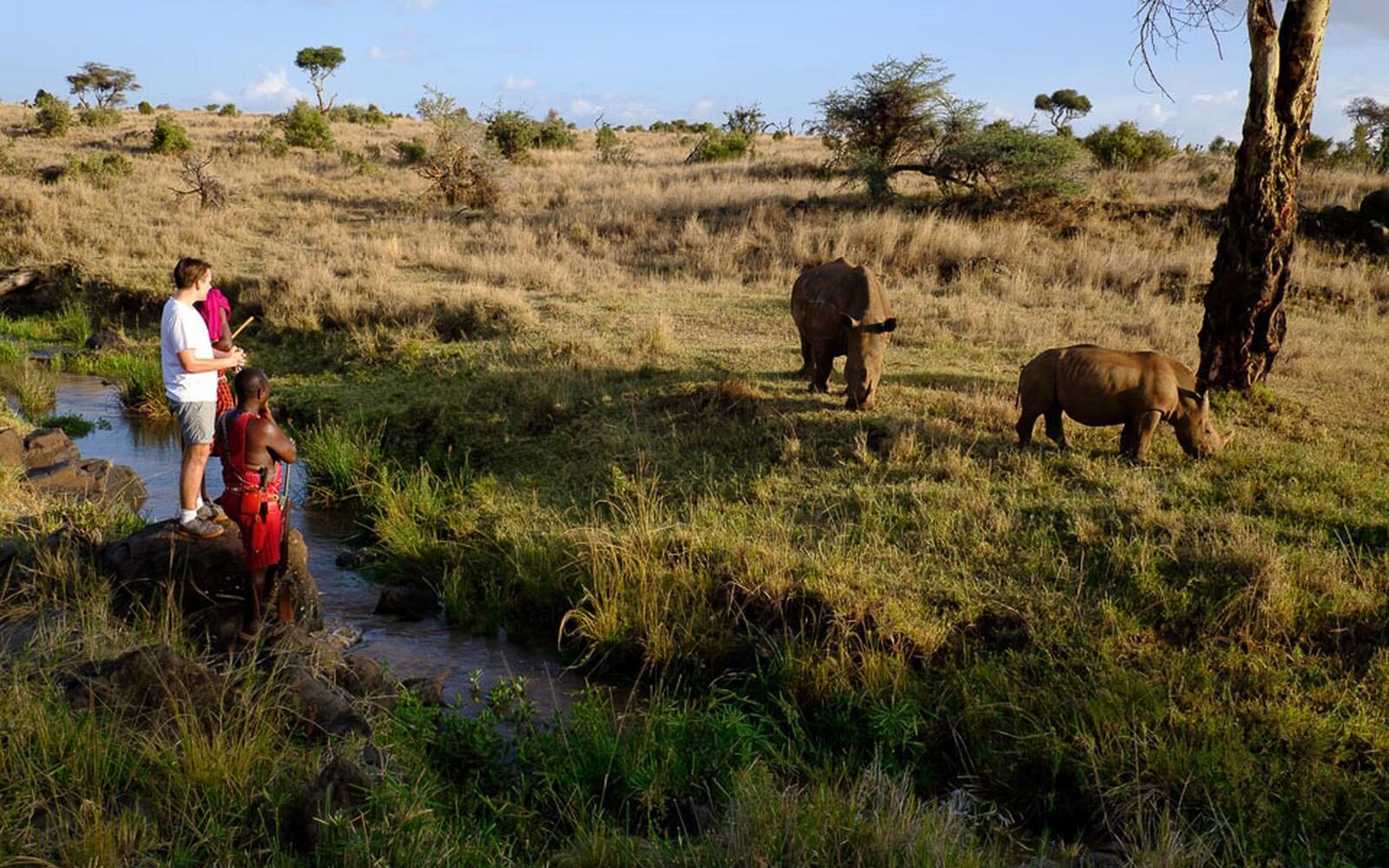 On foot in Lewa Wilderness, Kenya, watching rhinos graze beside a riverbed.