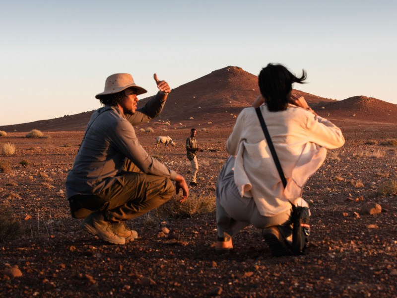 The Palmwag Concession supports Africa’s largest free-ranging population of black rhinos, which can be tracked alongside expert Save the Rhino Trust guides.