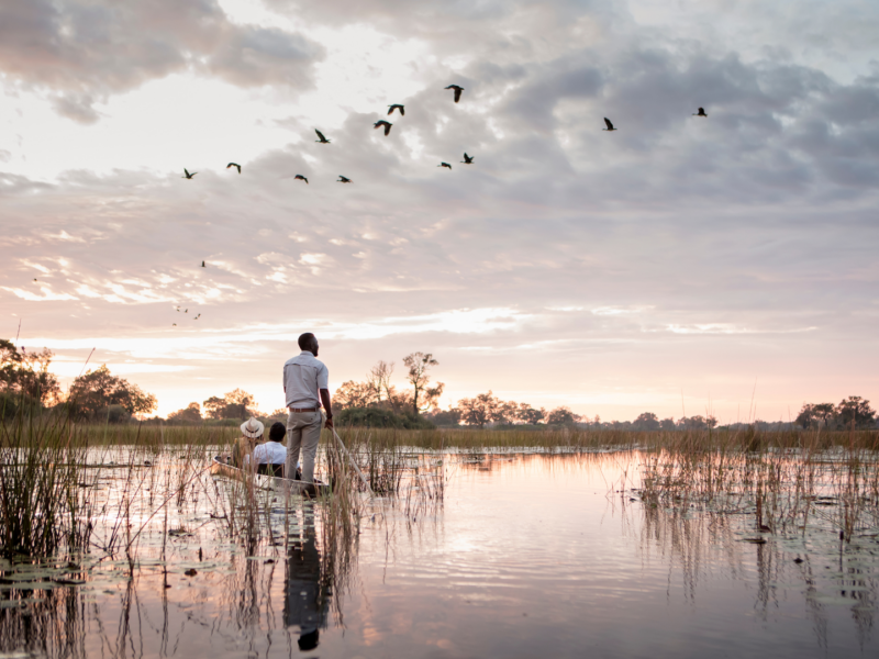 Traditional mokoro canoes offer a peaceful way to explore the Okavango’s lagoons and waterways, passing birdlife and aquatic wildlife at water level.
