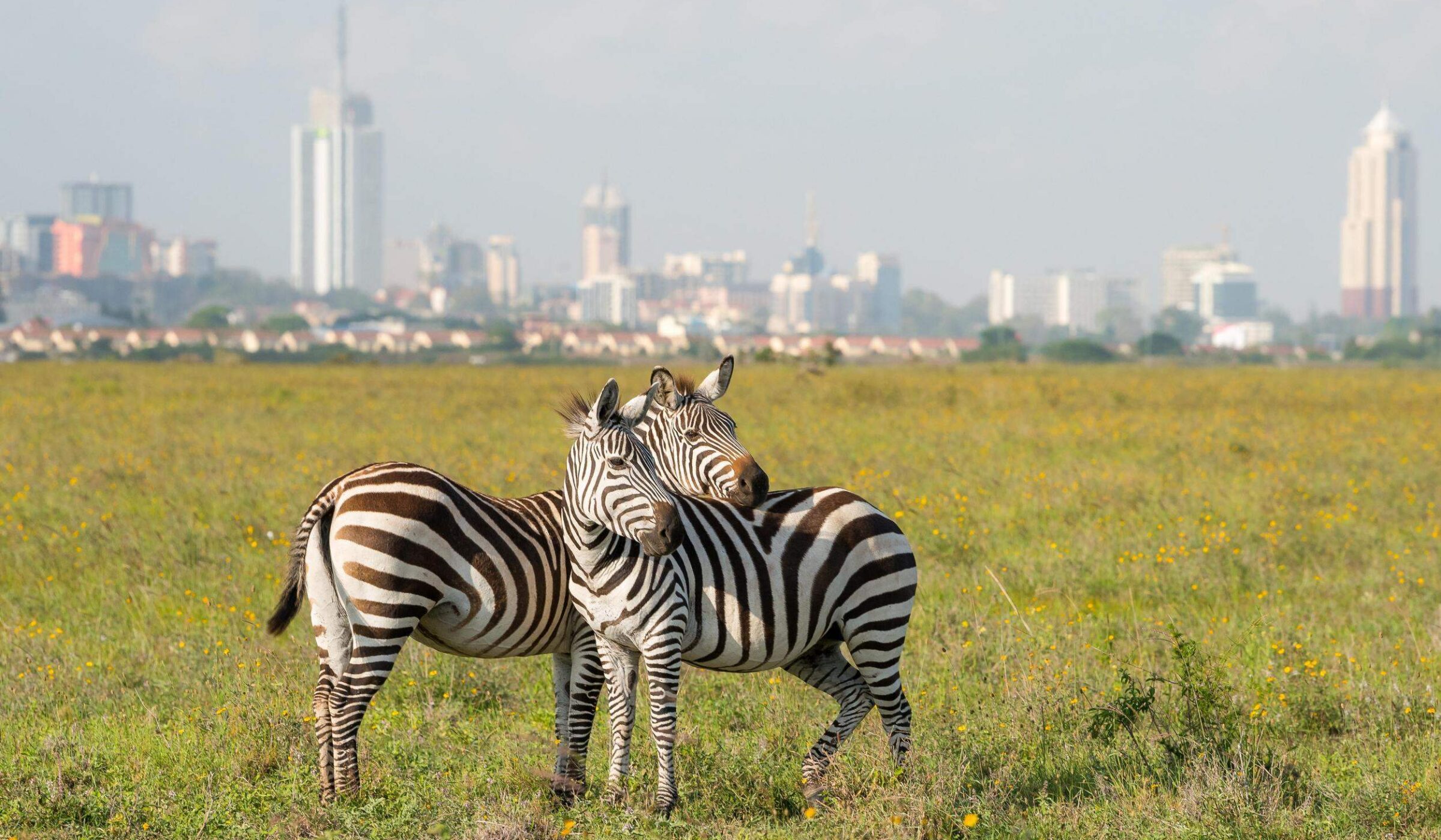 The safari capital of Africa