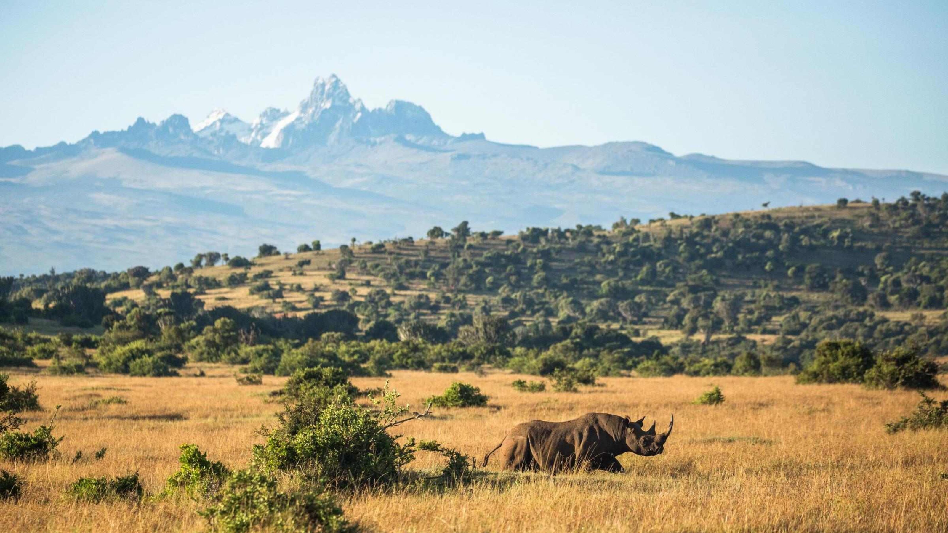 Community and Conservation in Kenya